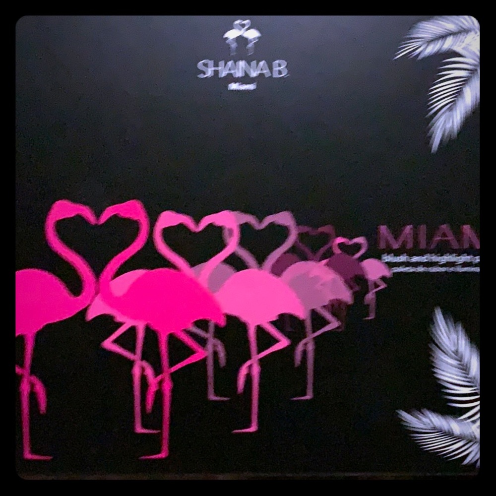 Shana b palette